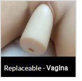 Replaceable vagina