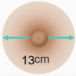 13 cm