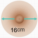 16 cm
