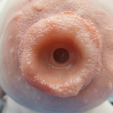 Yes, nipple-fucking